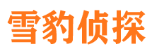 东城侦探